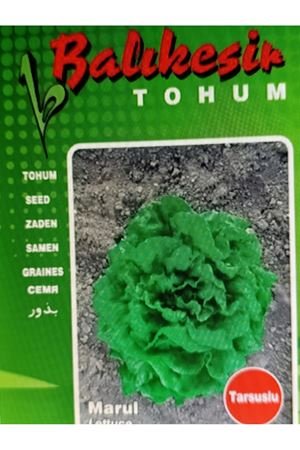 BALIKESİR TOHUM TARSUSLU MARUL TOHUMU