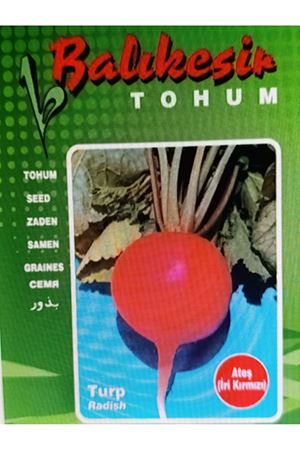 BALIKESİR TOHUM ATEŞ (İRİ KIRMIZI ) TURP TOHUMU