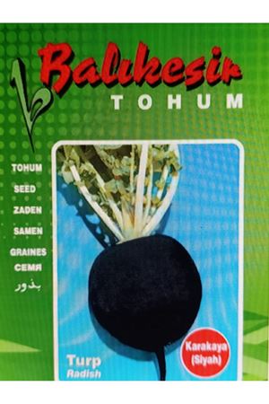 BALIKESİR TOHUM KARAKAYA SİYAH TURP  TOHUMU