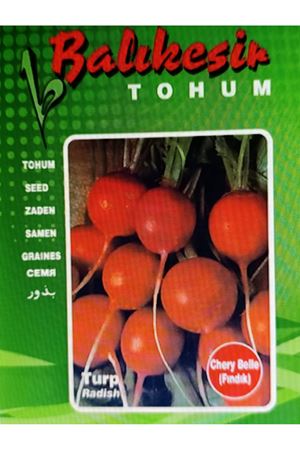 BALIKESİR TOHUM  CHERY BELLE FINDIK TURP TOHUMU