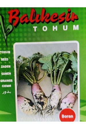 BALIKESİR TOHUMU   BORAN YEM ŞALGAMI TOHUMU
