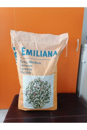 PALMİYE TOHUM  EMİLİANA YONCA TOHUMU