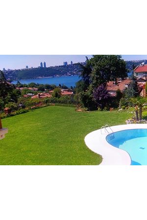 PALMİYE TOHUM  ECOPALMİX  ( 6 PLM ) PROFESYONEL ÇİM TOHUMU