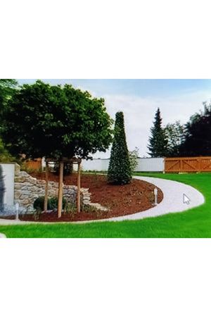 PALMİYE MİX 2 ( 7 PLM ) PROFESYONEL ÇİM TOHUMU