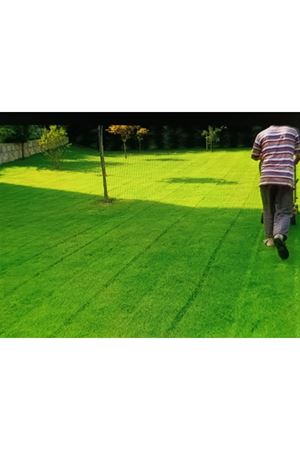 PALMYE TOHUM  SUN TROPİC MİX PROFESYONEL ÇİM TOHUMU