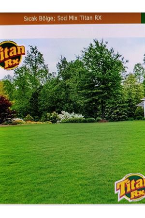 PALMİYE TOHUM  SOD MİX TİTAN RX  PROFESYONEL  ÇİM TOHUMU
