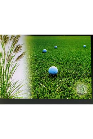 PALMİYE TOHUM  FESTUCA RUBA COMMUTATA  KIRMIZI YUMAK TEK TÜR ÇİM TOHUMU