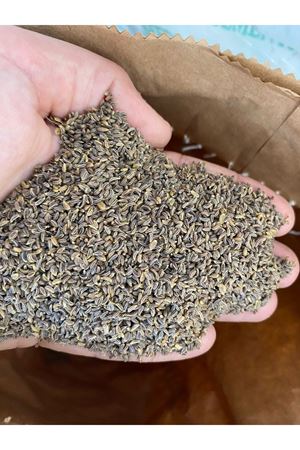 PALMİYE TOHUMCULUK İTHAL MAYDONOZ TOHUMU