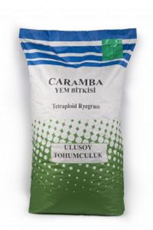 ULUSOY TOHUM  CARAMBA MİX RYEGRASS  SÜT OTU TOHUMU