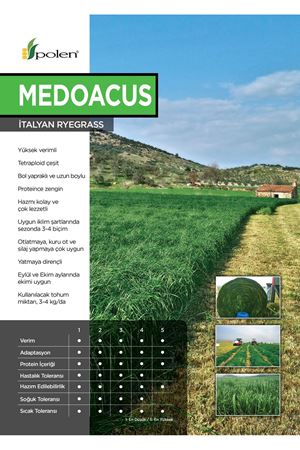 POLEN TOHUM MEDOACUS SÜT OTU  RYEGRASS  TOHUMU