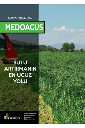 POLEN TOHUM MEDOACUS SÜT OTU  RYEGRASS  TOHUMU