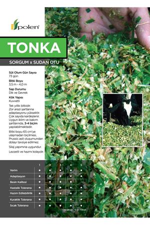 POLEN TOHUM TONKA  SORGUM SUDAN OTU TOHUMU