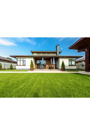 ULUSOY TOHUM  5M ECO ÇİM TOHUMU 