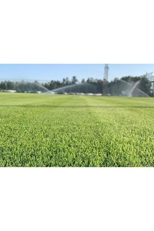 ULUSOY TOHUM CHAMPİON SPORT MİX  ÇİM TOHUMU