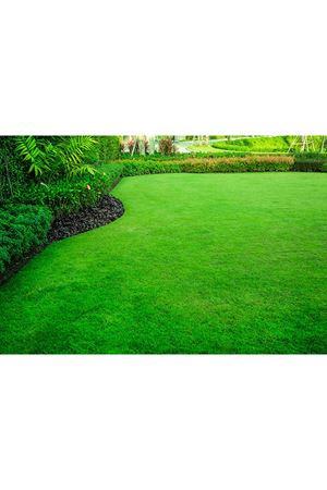 ULUSOY TOHUM  4M STAR ÇİM TOHUMU, 10 KG AMBALAJ FİYATI 