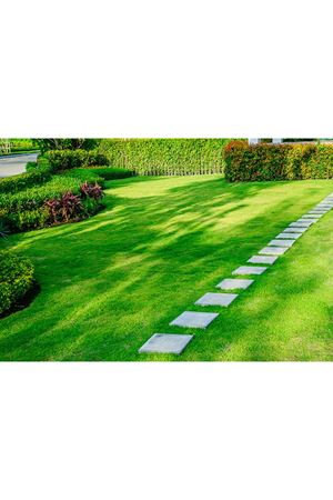 ULUSOY TOHUM SHADOW GRASS GÖLGEYE DAYANIKLI ÇİM TOHUMU