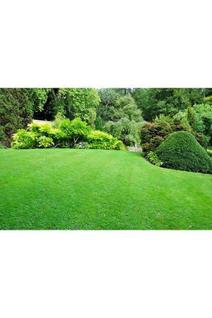 ULUSOY TOHUM  5M EXPRESS ÇİM TOHUMU