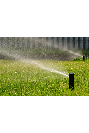 ULUSOY TOHUM SUSUZLUĞA DAYANIKLI ÇİM TOHUMU
