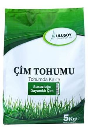 ULUSOY TOHUM SUSUZLUĞA DAYANIKLI ÇİM TOHUMU