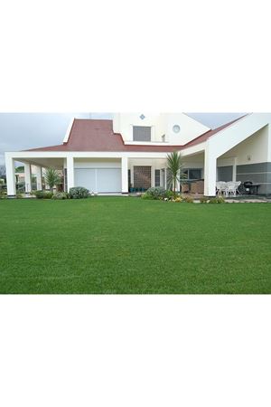 ULUSOY TOHUM 4M JOKER GOLD ÇİM TOHUMU