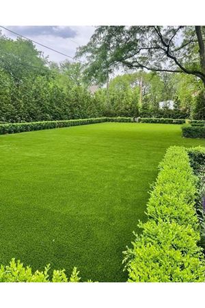 ULUSOY TOHUM 7M SULTAN ÇİM TOHUMU