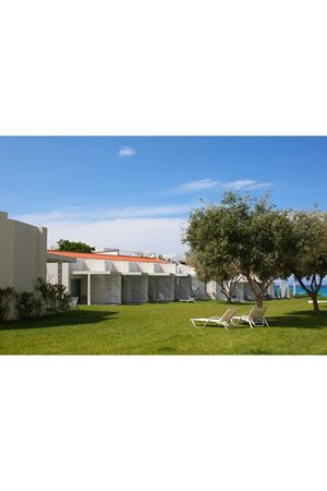 ULUSOY TOHUM HOLİDAY ÇİM TOHUMU 