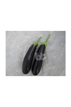 BT KARAMAN F1 PATLICAN TOHUMU