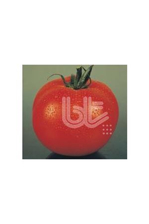 BT 2274 STANDART  OTURAK DOMATES TOHUMU