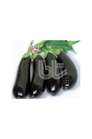 BT PALA YALOVA  STANDART PATLICAN TOHUMU