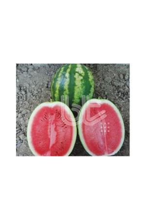 BT CRİMSON SWEET KARPUZ TOHUMU