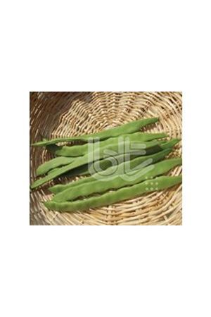 BT ALMAN AYŞE  7  FASÜLYE TOHUMU