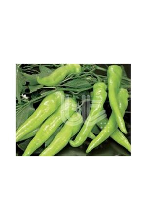 BT ÇARLİSTON BAĞCI  BİBER TOHUMU