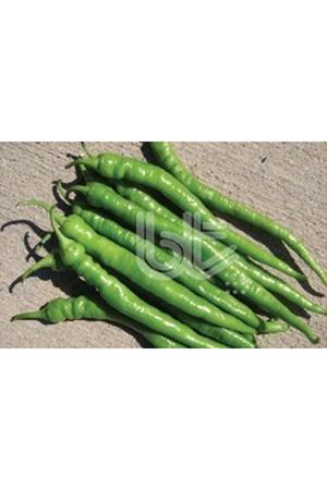 BT DEMRE SİVRİSİ BİBER TOHUMU