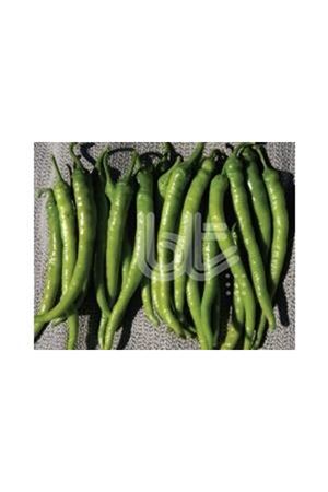 BT SÜRMELİ BİBER TOHUMU