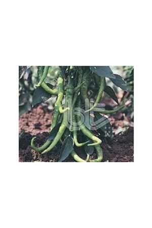 BT TATLI SİVRİ ÇETİNEL 150 BİBER TOHUMU