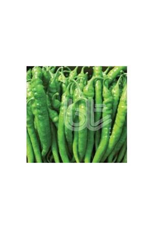 BT BURDEM 016 BİBER TOHUMU