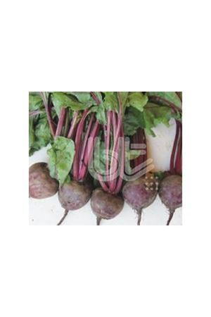 BT PANCİNA  KIRMIZI PANCAR TOHUMU F1  İTHAL