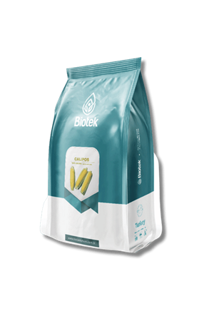 BİOTEK TOHUM  CALİPOS  F1  TATLI MISIR TOHUMU