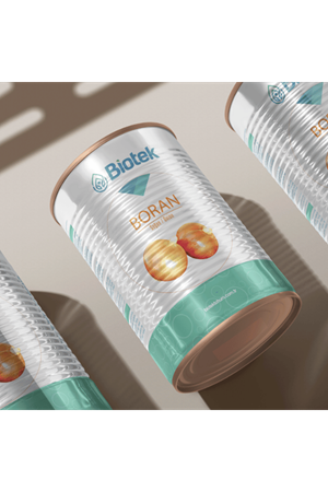 BİOTEK TOHUM BORAN SOĞAN TOHUMU