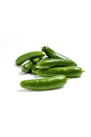 SEMİNİS ALTAY F1  OTURAK HIYAR TOHUMU