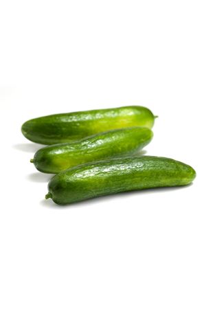 SEMİNİS SAMARA F1  OTURAK HIYAR TOHUMU