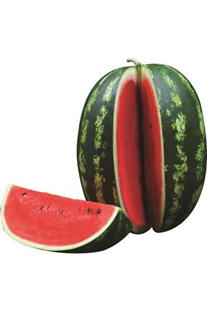 SEMİNİS STARBUST F1 KARPUZ TOHUMU 