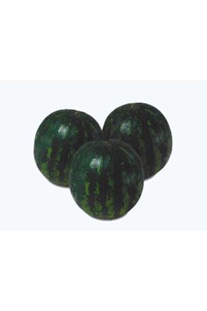 CRİMSTAR F1 HİBRİT KARPUZ TOHUMU