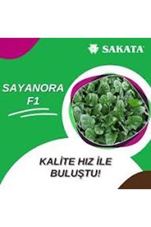 SARDES F1 ISPANAK TOHUMU