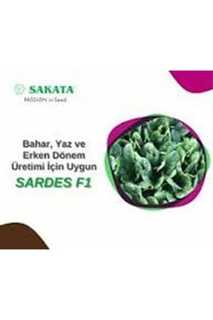 SARDES F1 ISPANAK TOHUMU
