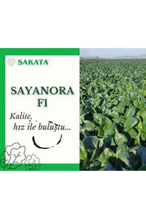 SAYANORA F1  ISPANAK TOHUMU