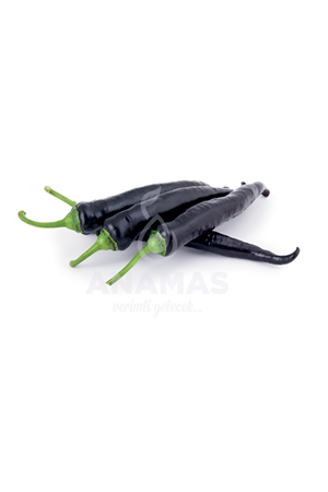 OSKAR F1 MOR SİVRİ TATLI BİBER TOHUMU