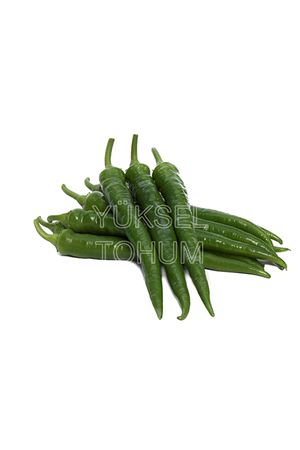 BAFRA F1 ACI SİVRİ BİBER TOHUMU