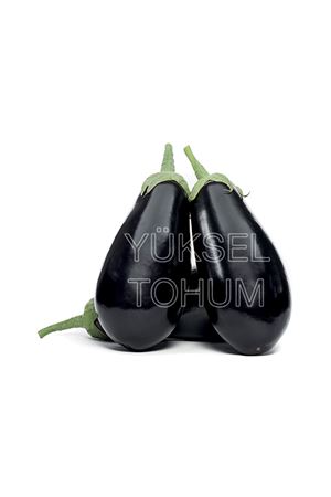 KARAGÜL F1 OVAL PATLICAN TOHUMU