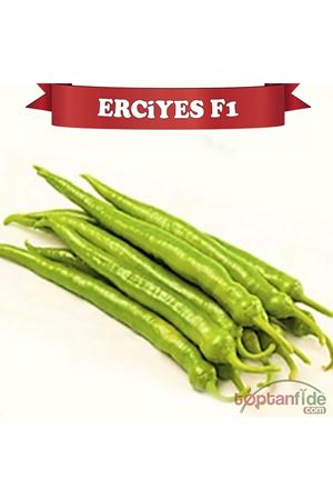ERCİYES F1 SİVRİ BİBER TOHUMU